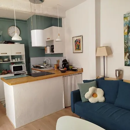 Apartment 56 M2 Et Grande Terrasse 30m2 *